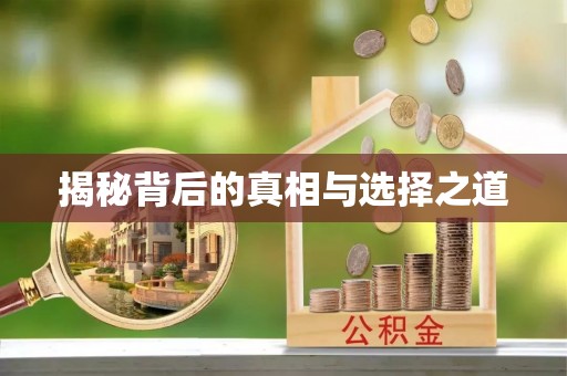 市北揭秘背后的真相与选择之道