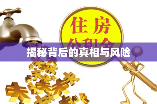 市北揭秘背后的真相与风险