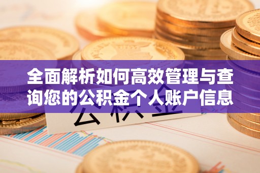 市北全面解析如何高效管理与查询您的公积金个人账户信息
