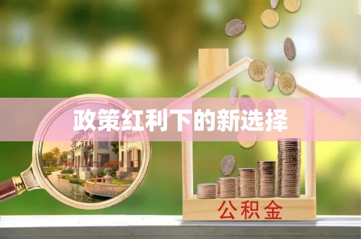 市北政策红利下的新选择