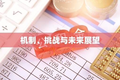 市北机制、挑战与未来展望